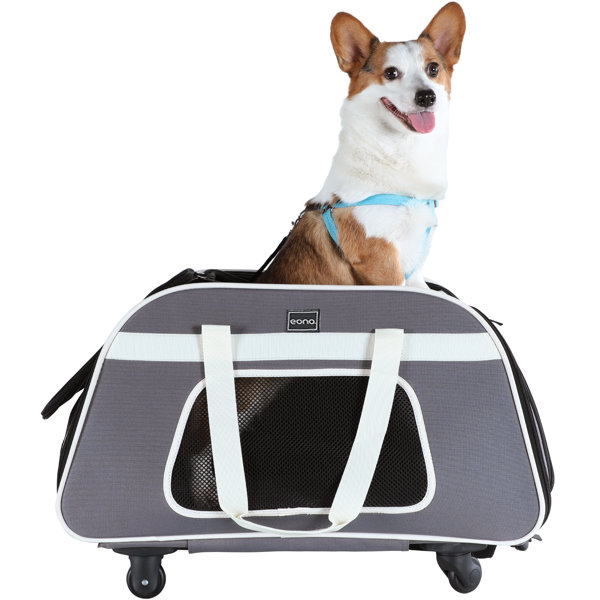 Tucker Murphy Pet™ Pet Carrier with Removable Wheels Wayfair Canada
